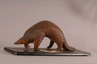 海南穿山甲藏品圖，第4張